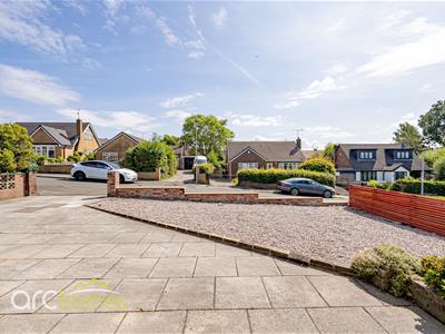 Picture 20
